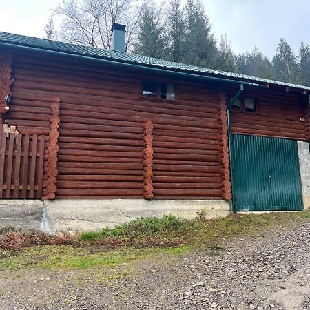 Farmstead Lisova Hostel Mizhhirya  Bagian luar foto