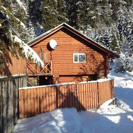 Farmstead Lisova Hostel Mizhhirya  Bagian luar foto