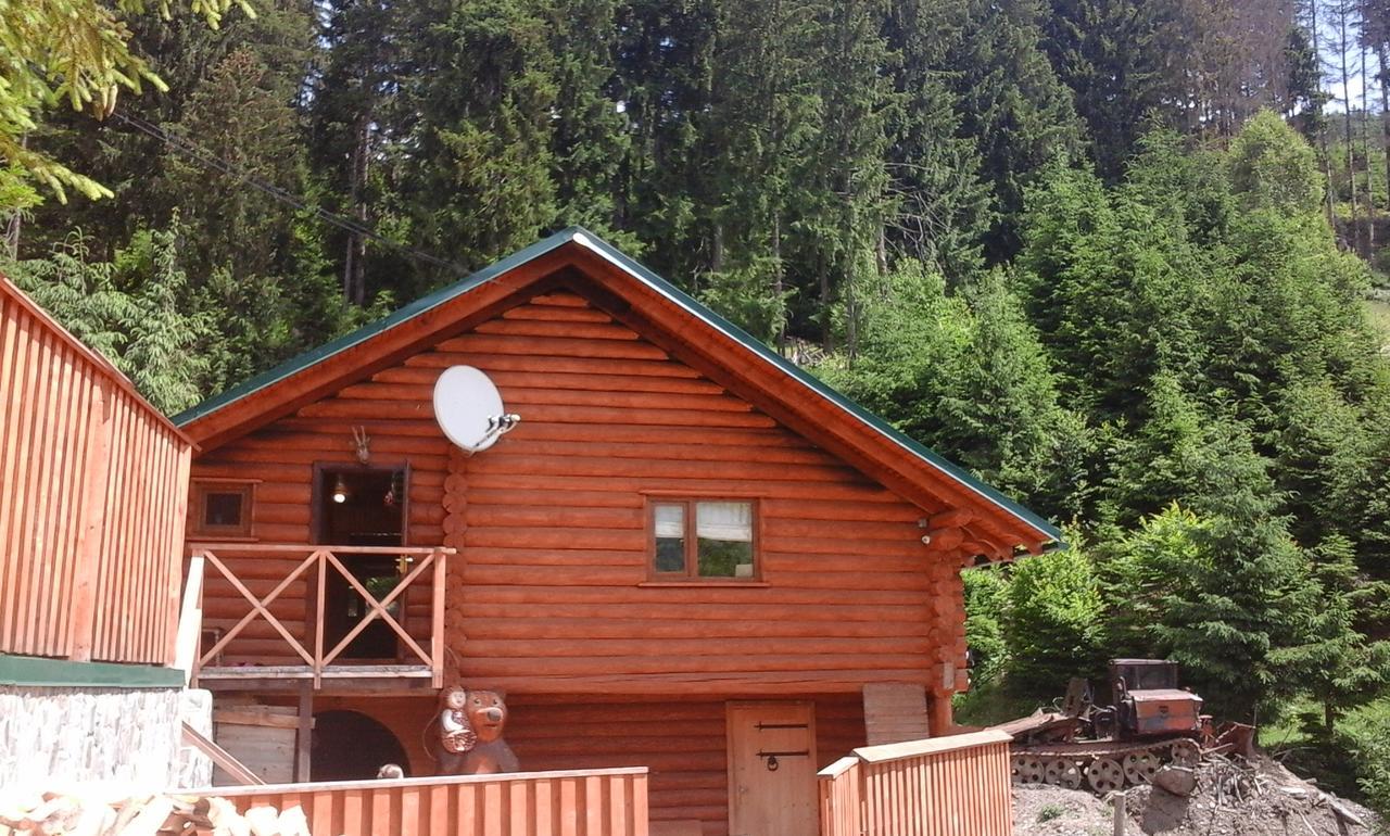 Farmstead Lisova Hostel Mizhhirya  Bagian luar foto